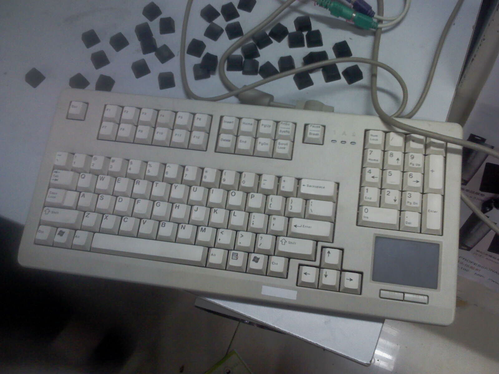 IMAG0025.jpg