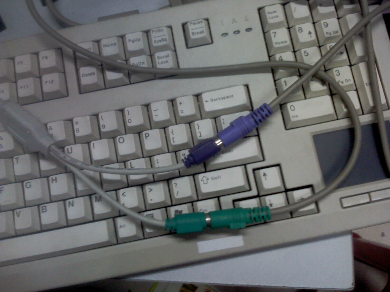 IMAG0027.jpg