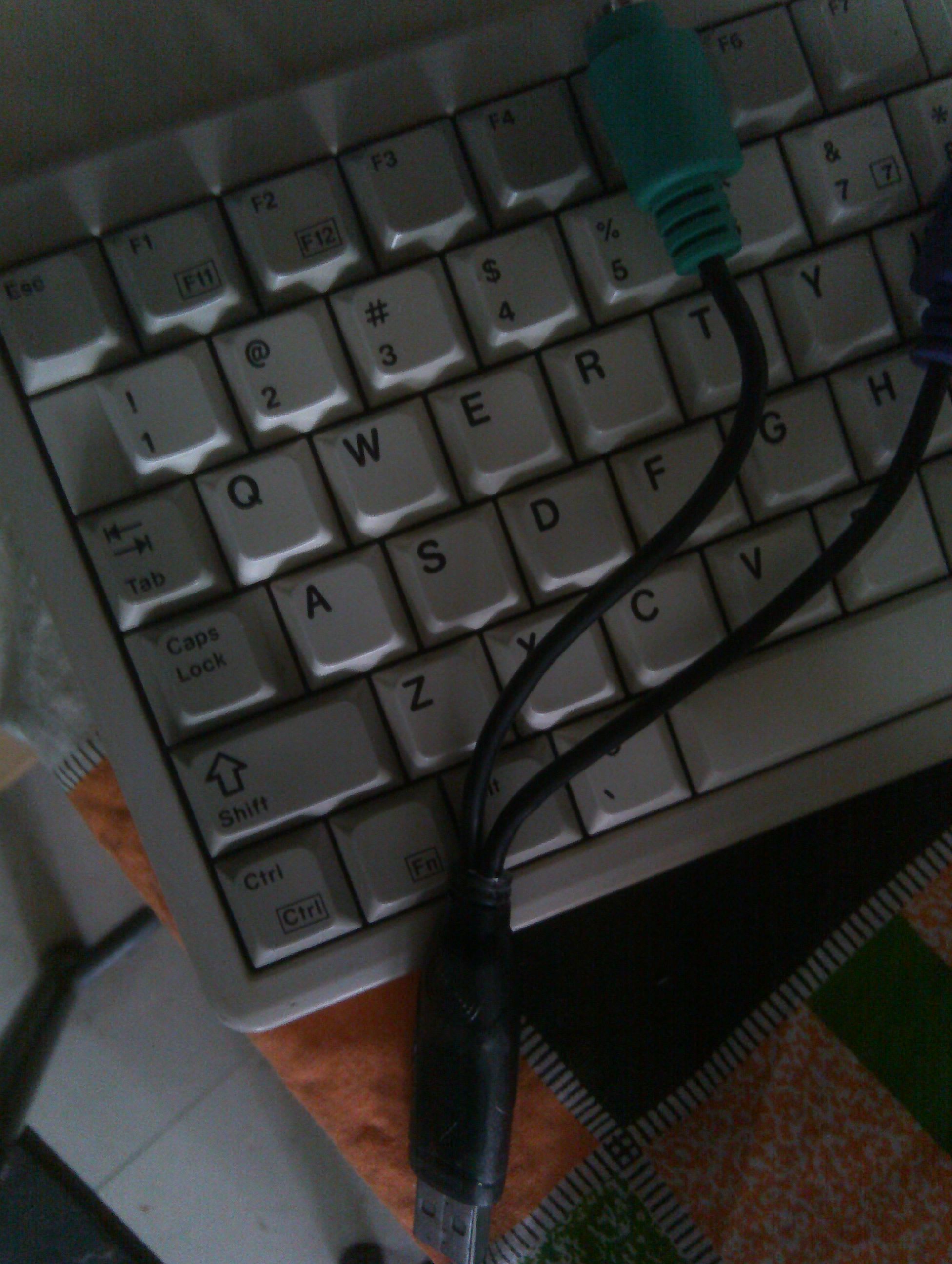 IMAG0032.jpg