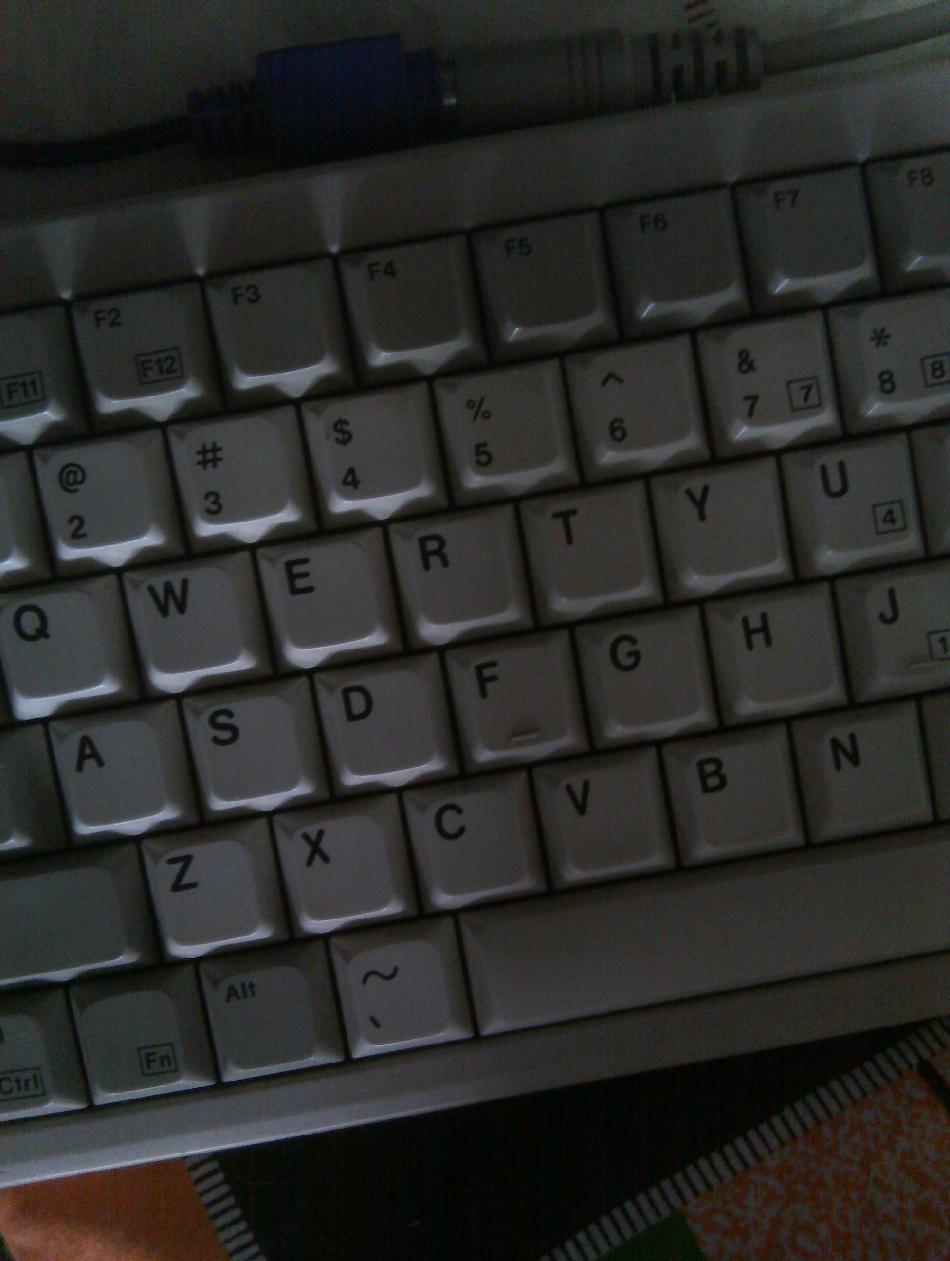 IMAG0031.jpg