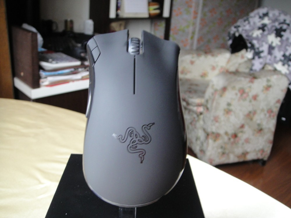 ��ô����Ҫ�����Ҿ�������!RAZER�����۾���