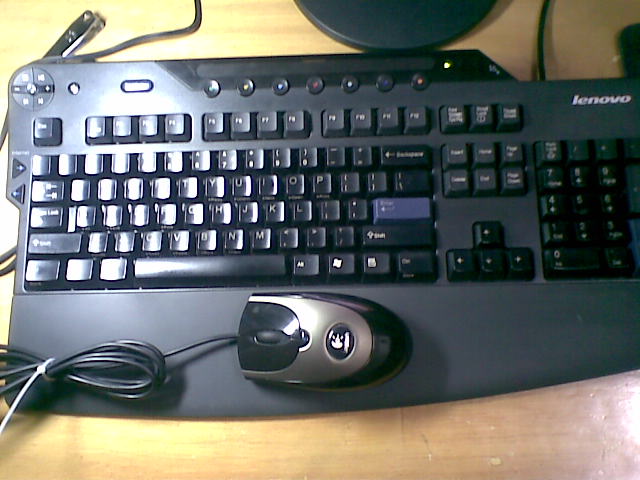 20101113(010).jpg