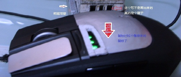 SSL22455.JPG