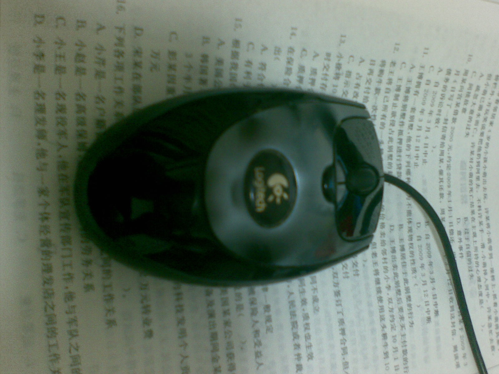 20101114.jpg