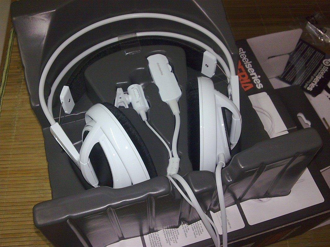 ���ۣ�2010��4��29�չ����Steelseries��������V1������9���£��߿�+��250��˳��
