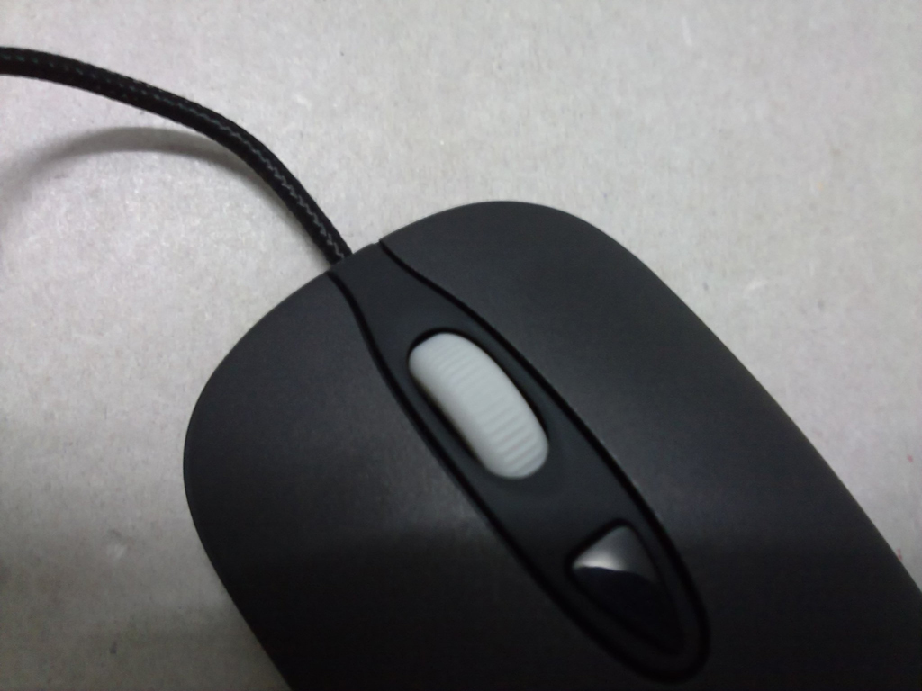 20101118097.jpg