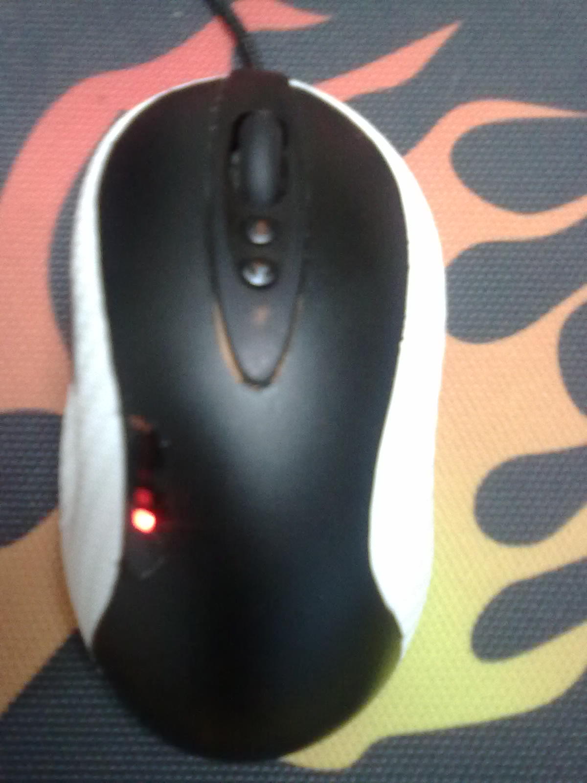 20101114158.jpg