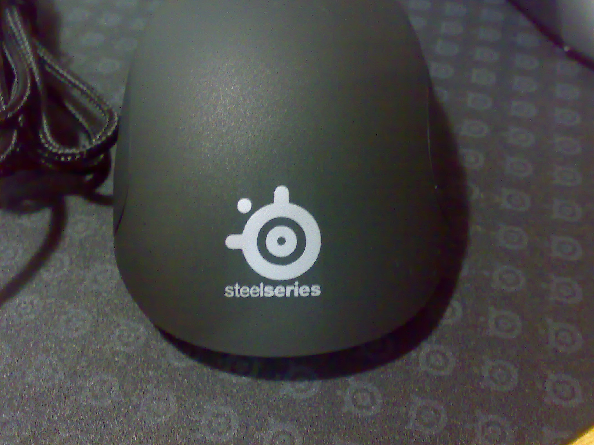 20101119022.jpg