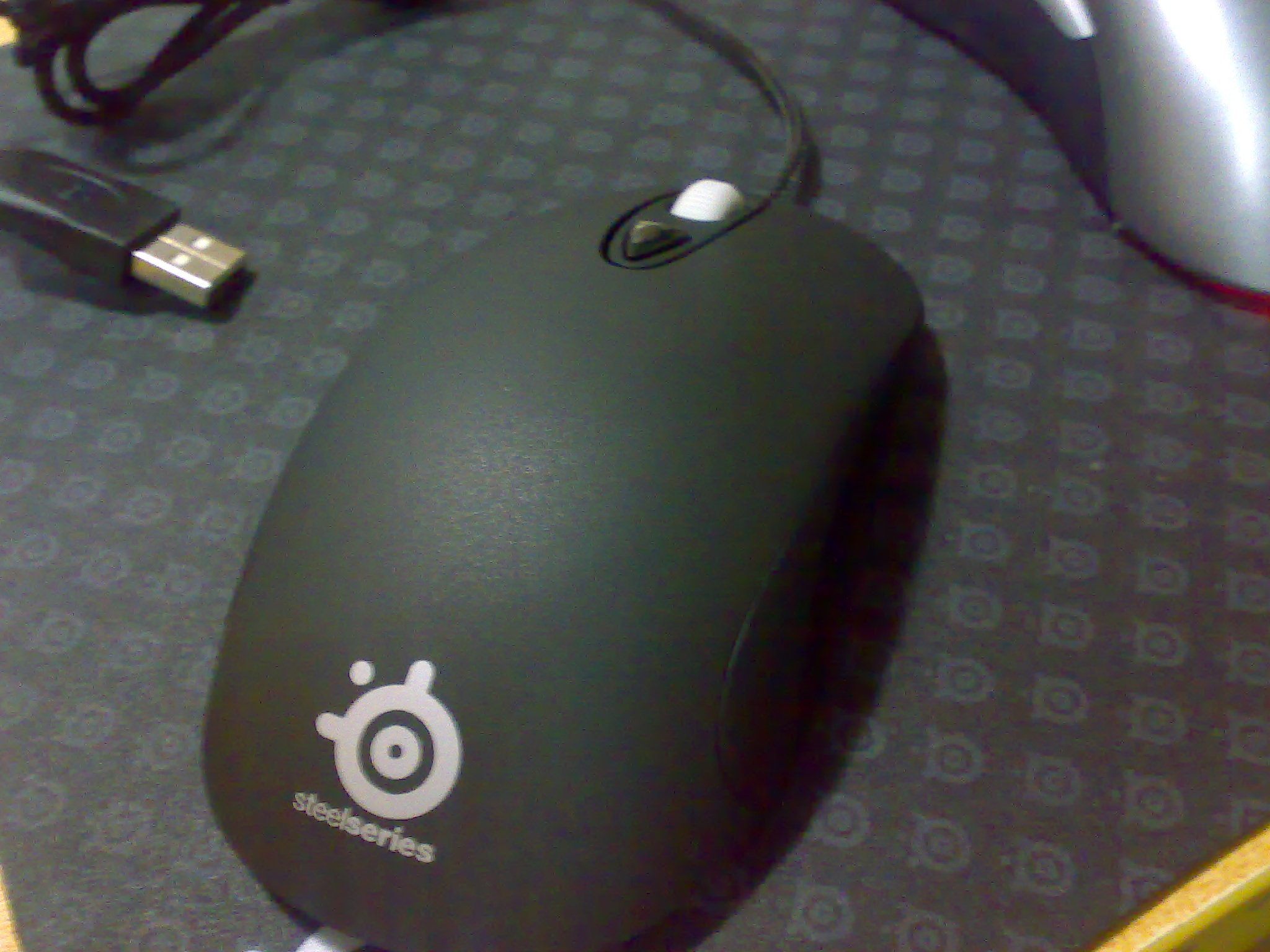20101119019.jpg