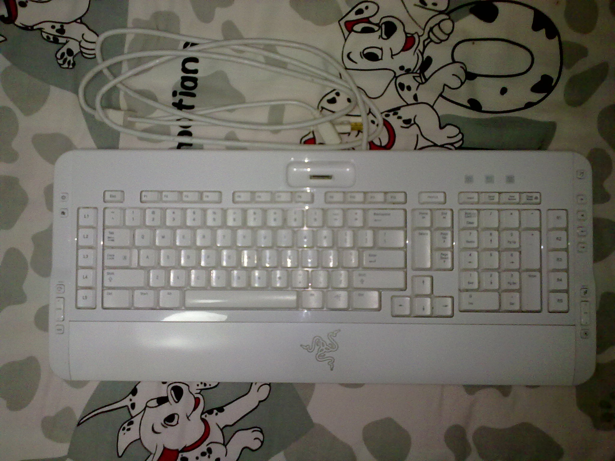 20101121063.jpg