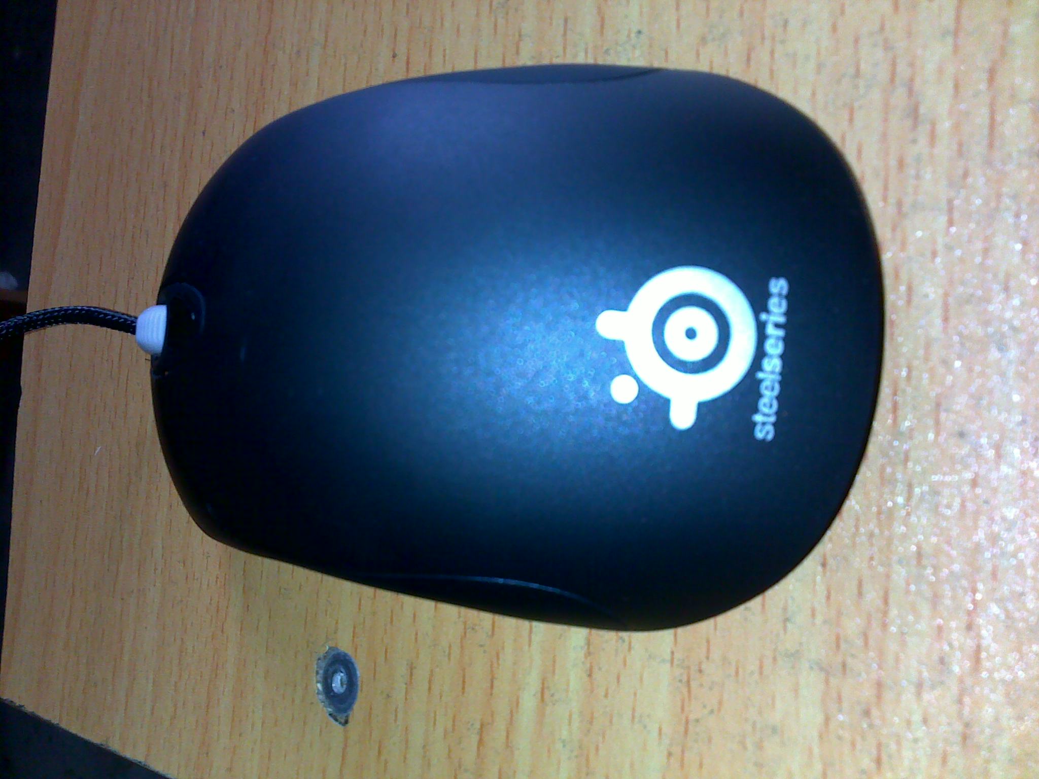 20101121021.jpg