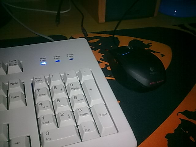 20101122.jpg