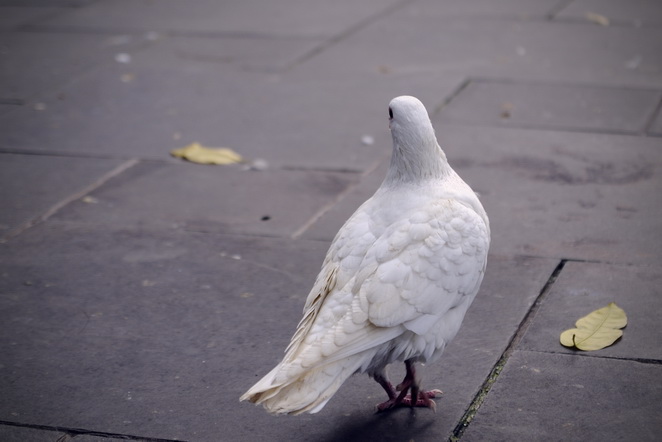 С����ϰ��9�ţ�������Ů������