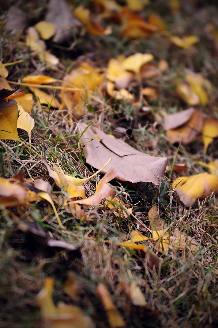 С����ϰ��9�ţ�������Ů������