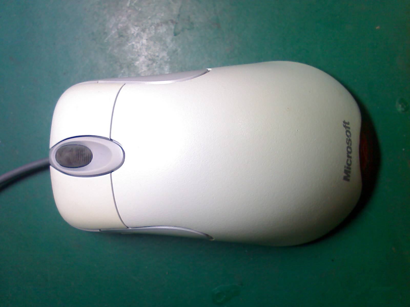 YP0060.jpg