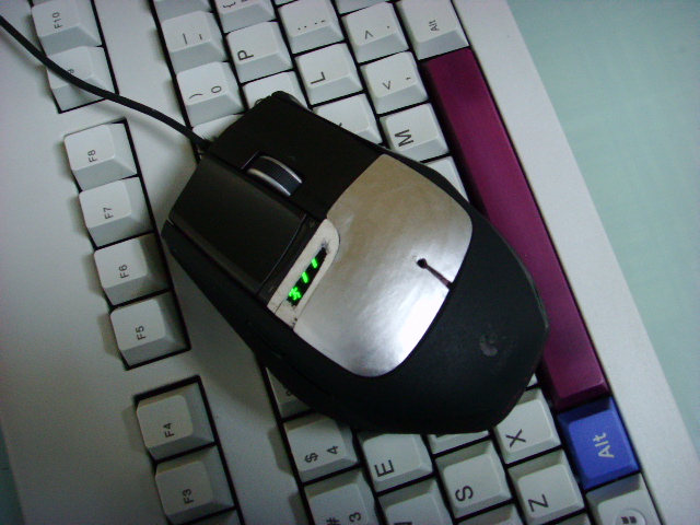 SSL22488.JPG