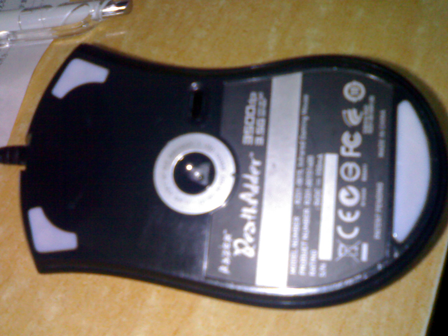 20101123682.jpg