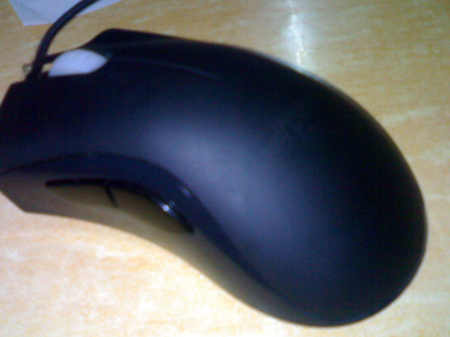 20101123681.jpg