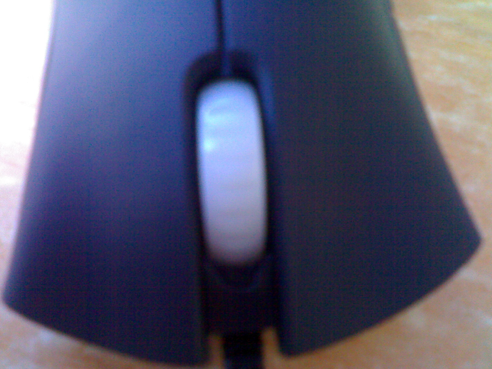 20101124690.jpg