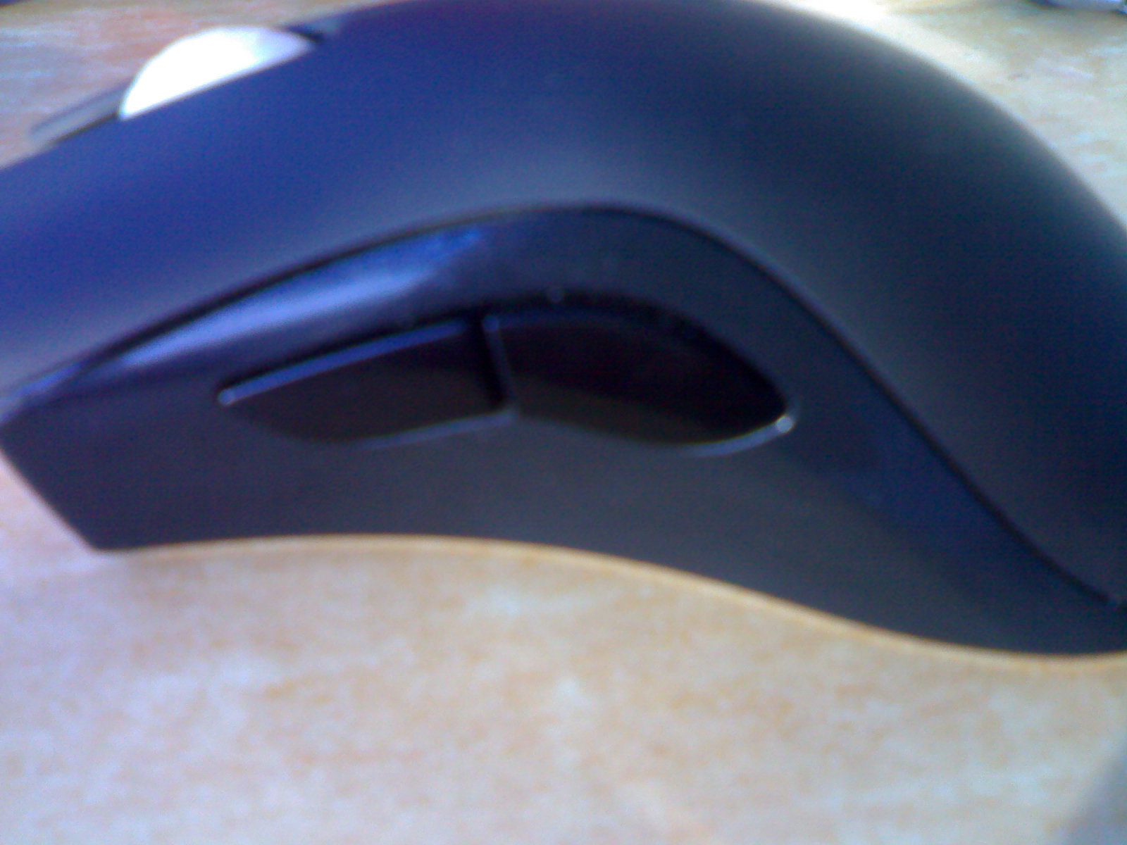 20101124688.jpg