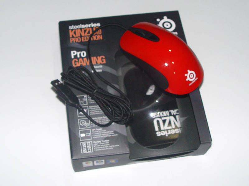 �µ��ֺ�ɫkinzu������