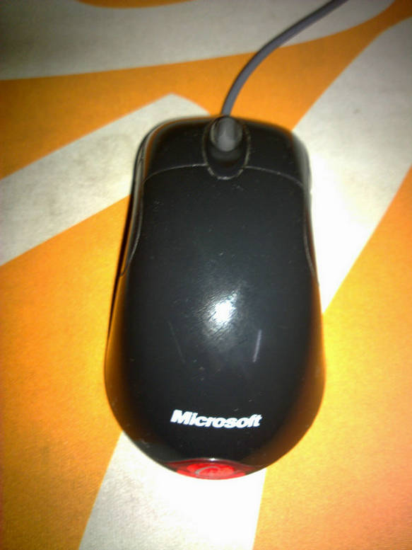 20101117604.jpg