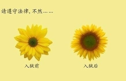 ��Ҫ��Υ�����¡�����Ȼ�ܱ���Ŷ~