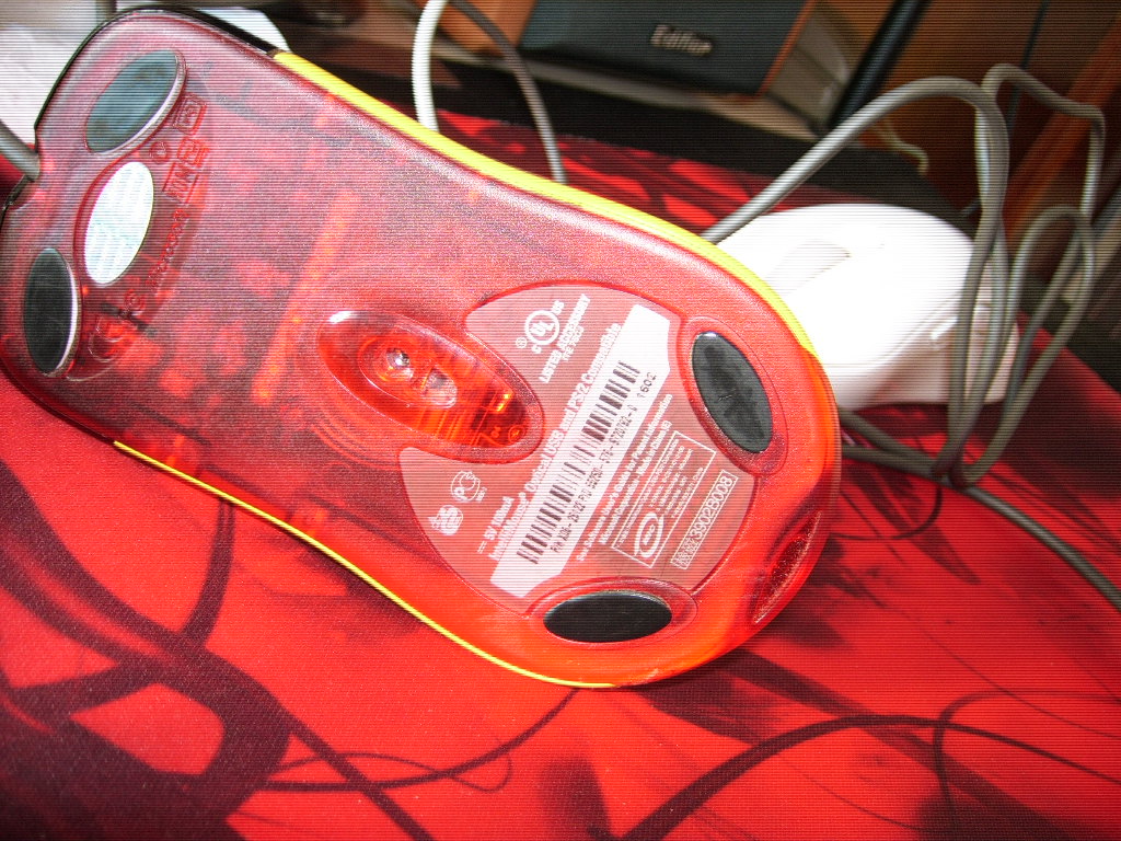 SPA51828.JPG