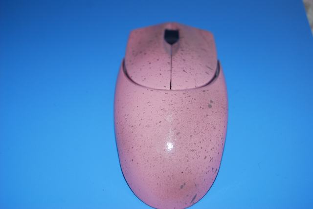 �𻷷۲�����