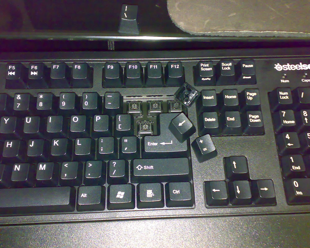20101126639.jpg