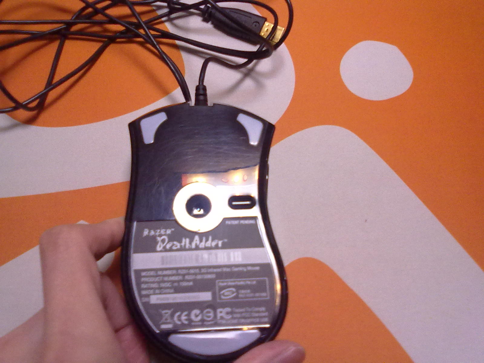 20101127205.jpg