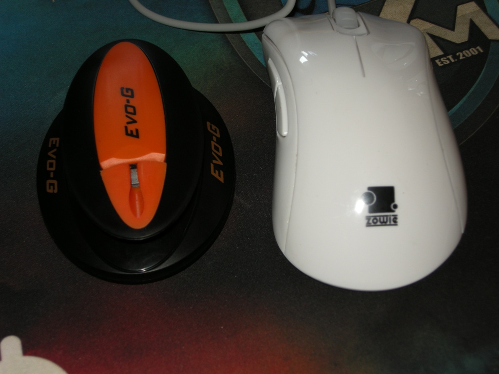 DSCN3698.JPG
