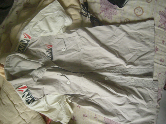 �羺10�� WNV ��ذ�ӷ� ɹɹ ѯ��