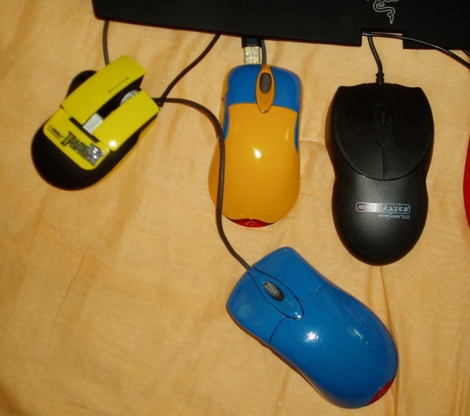554.jpg