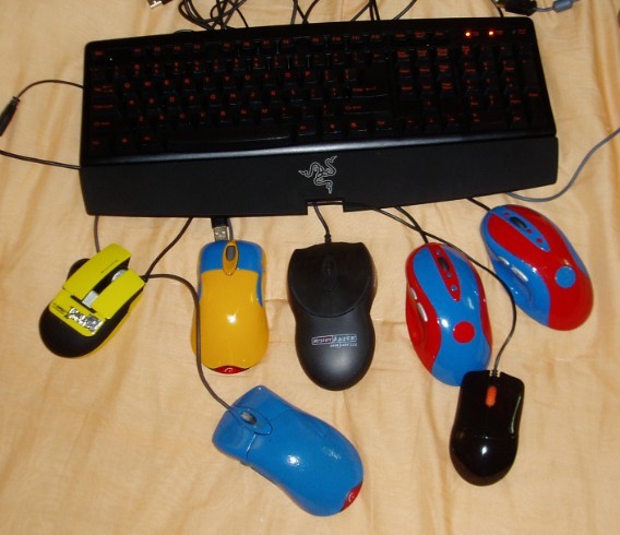 WWW.jpg