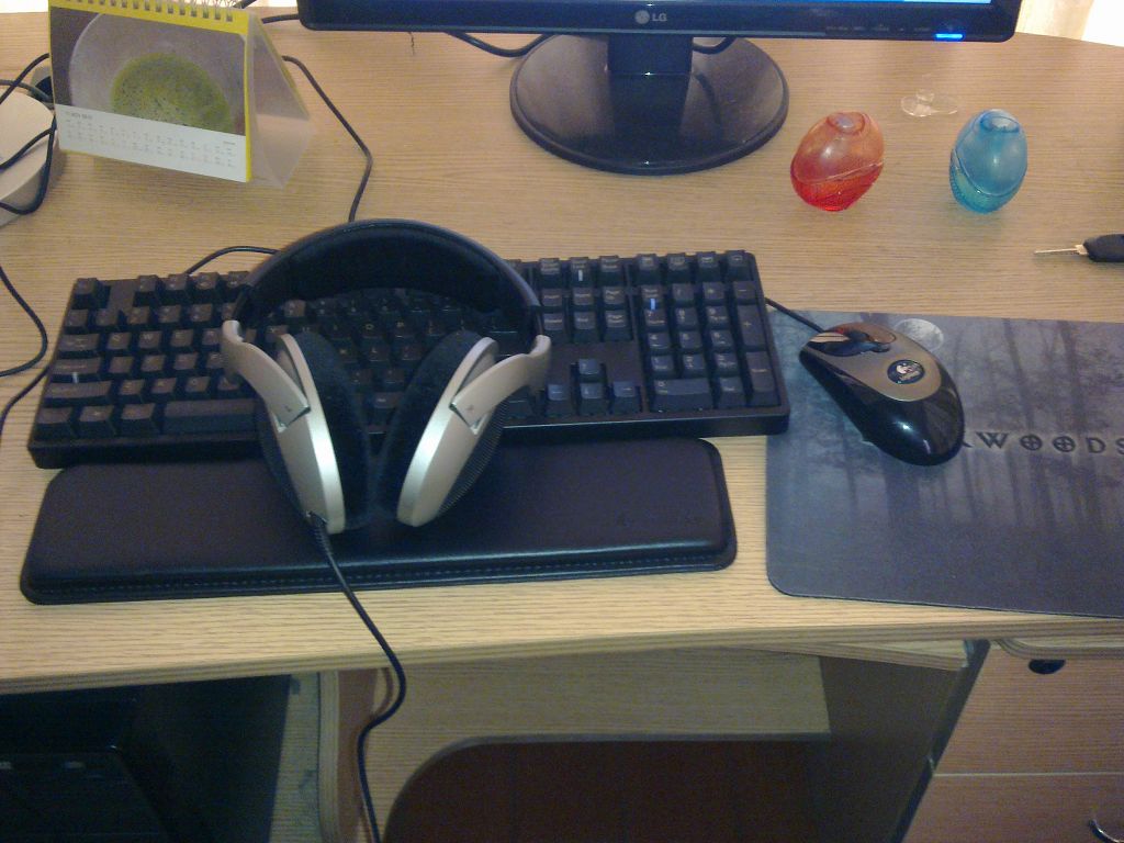 20101129088.jpg