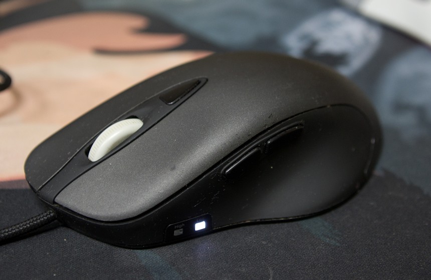 ����250Ԫ��һֻ������