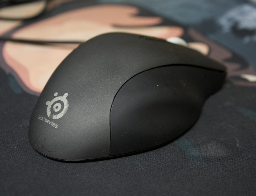 ����250Ԫ��һֻ������
