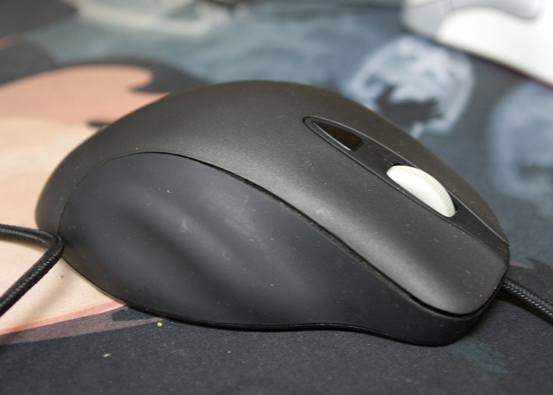 ����250Ԫ��һֻ������