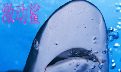 QQ��ͼδ����.jpg