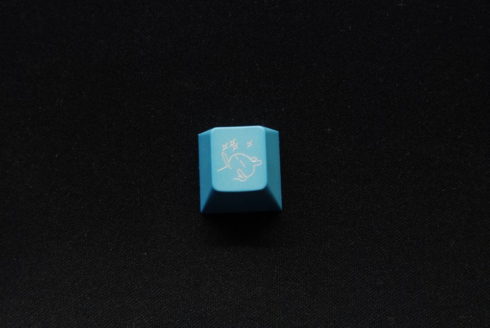 008.jpg