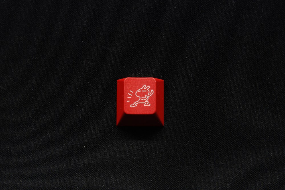 009.jpg