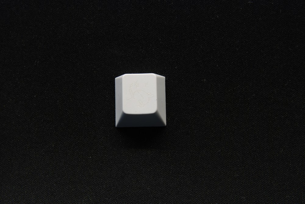 010.jpg