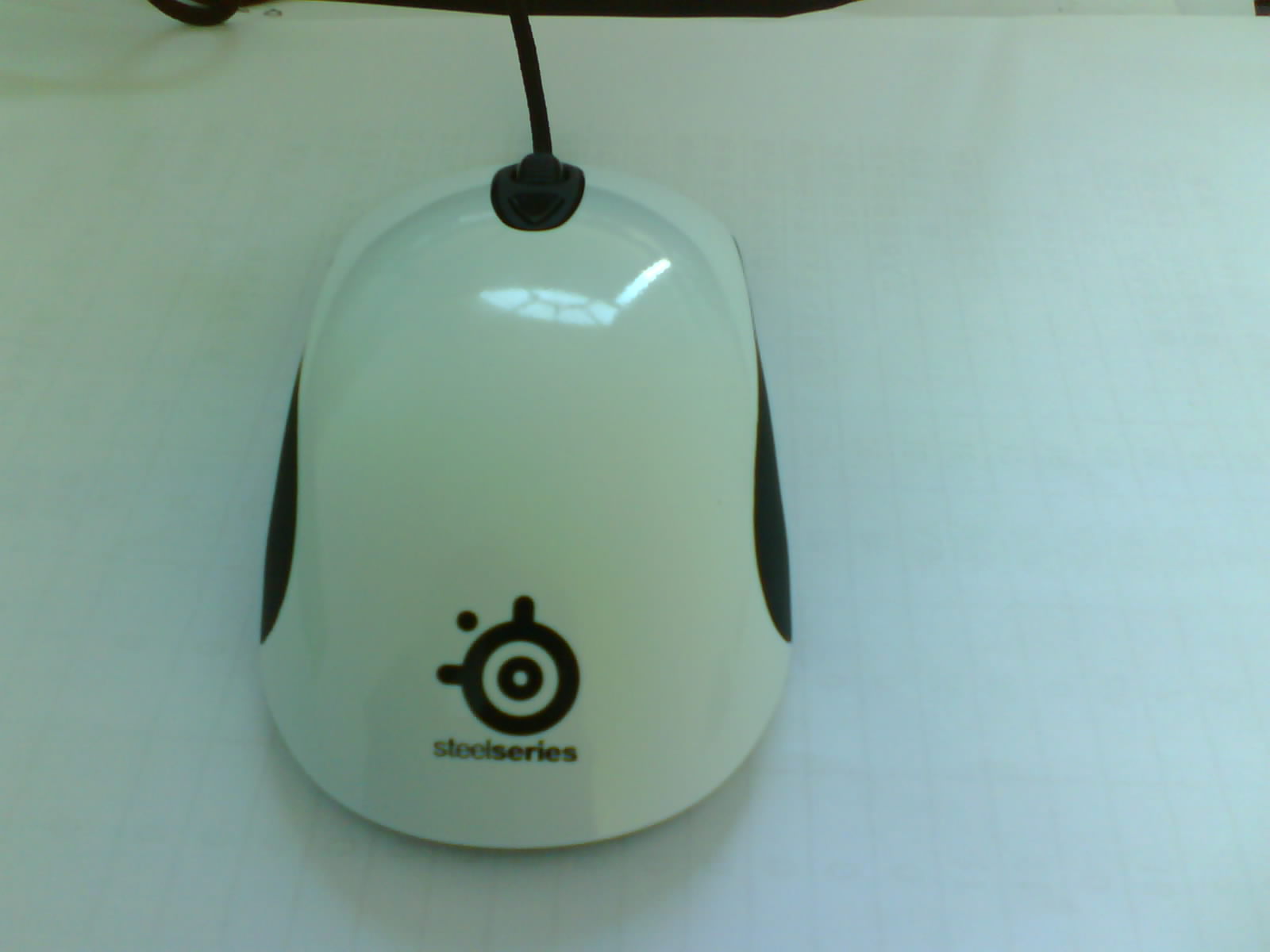 IMG0088A.jpg