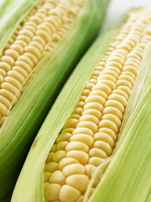 �������ס��͹���ĳһ'����"��һ�ȣ� �����Ÿ������룡��