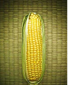 �������ס��͹���ĳһ'����"��һ�ȣ� �����Ÿ������룡��