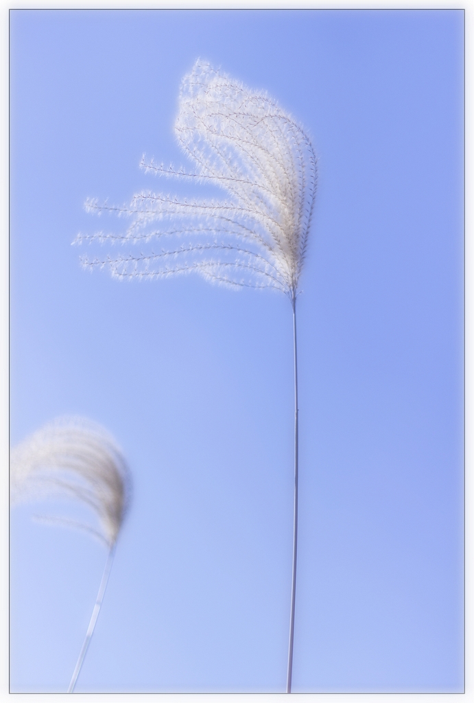 ����ing..����붾̳Խ��ԽԶ.������ͼ��