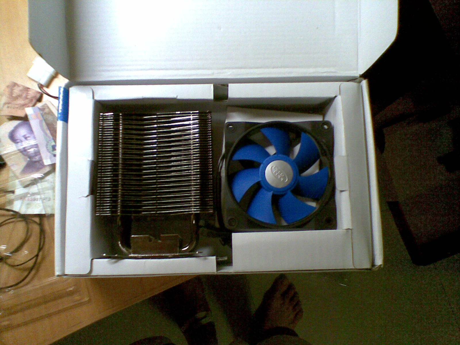 20101204(006).jpg