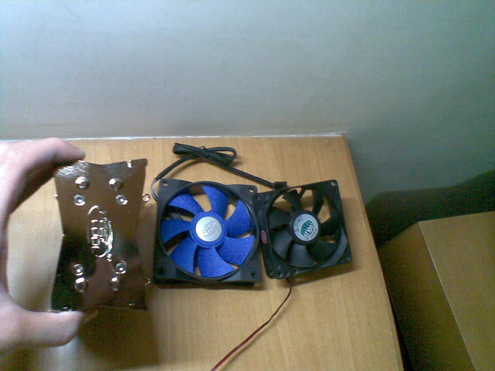 20101204(005).jpg