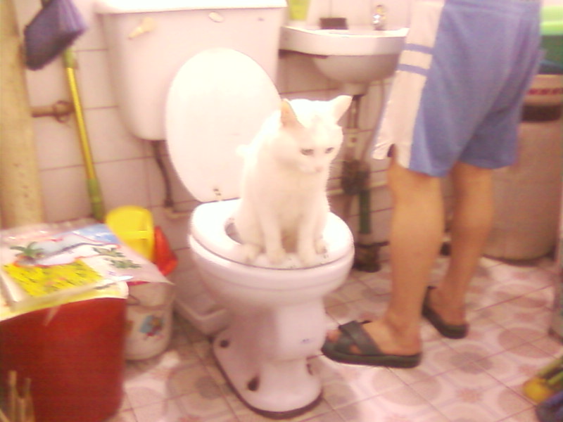 ��������û��������������